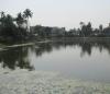 Rajmata Dighi Pond - Cooch Behar